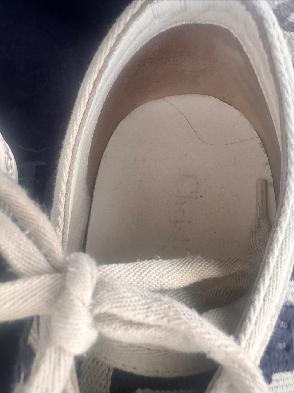 Dior Navy and White walk n Dior Logo Low-Top Sneakers - Picture 12 of 15